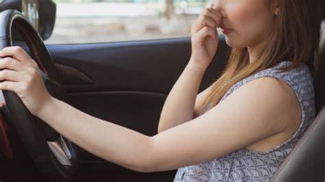 C Mo Eliminar Los Malos Olores Del Coche Unotv