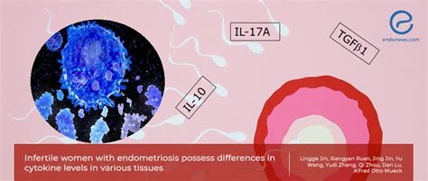 The Association Between Inflammatory Cytokines And Fertility In Women With Endometriosis Endonews