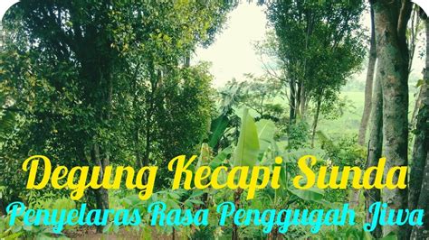 Suara Syahdu Degung Kecapi Sunda Mengiringi Panorama Alam Pelosok Desa