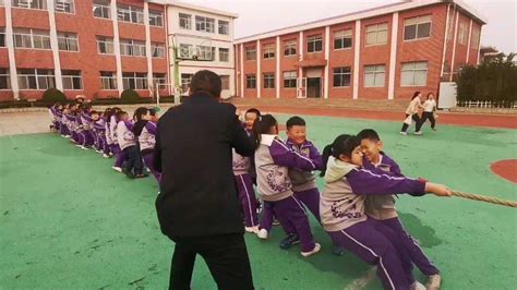 实验小学拔河比赛班级预赛 高清1080P在线观看平台 腾讯视频