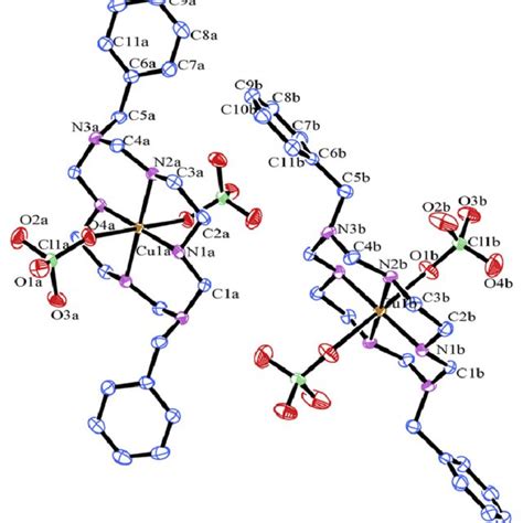 Molecular Structure Ortep Diagram With Thermal Ellipsoids Of