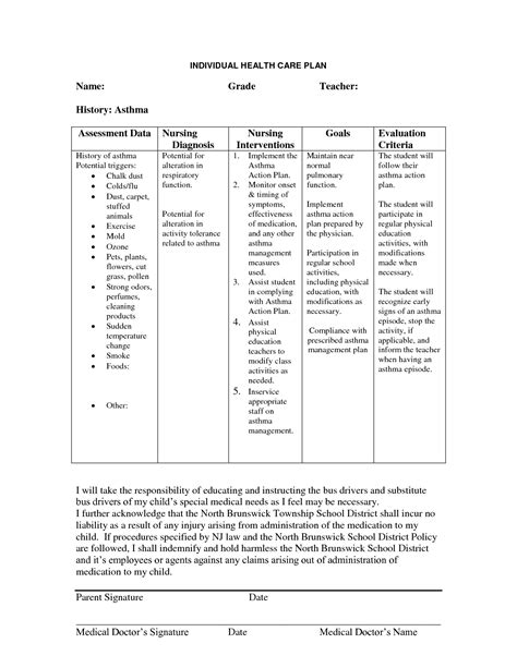 Nanda Nursing Care Plan Examples Template Collections