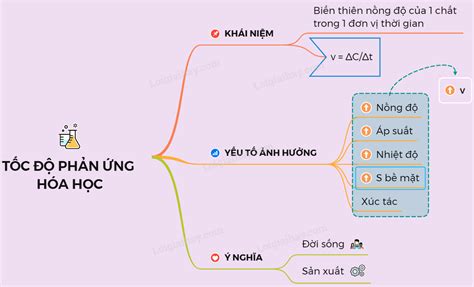 Sự Hiểu Biết Về Sơ đồ Phản ứng Hóa Học Lớp 8 Và Cách Vẽ đúng Nhất