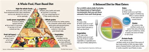 Vegans Vs Meat Eaters Comparative Analysis