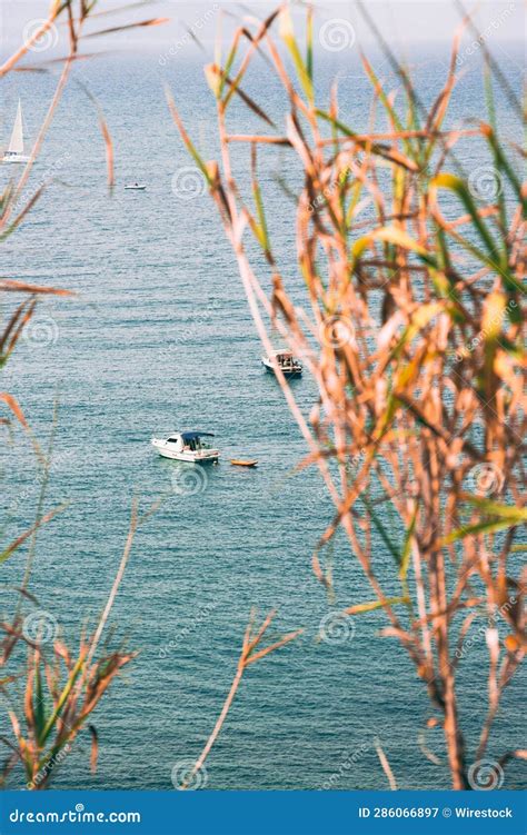 A Couple Boats Out In The Ocean With Trees And Bushes Stock Image