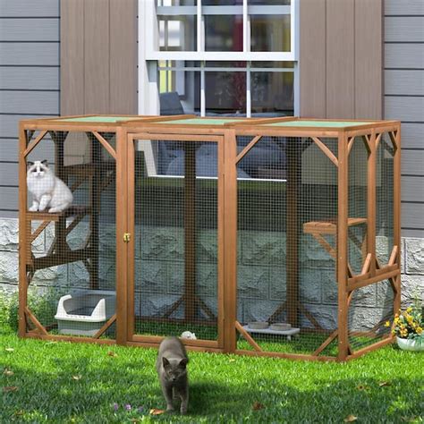 Backyard Outdoor Cat Enclosures Connected To House Informacionpublica