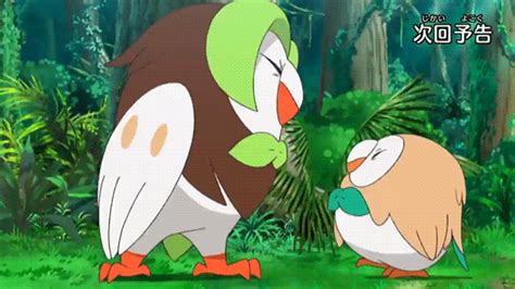 Rowlets New Rival Haus Dartrix Pokémon Sun And Moon Know Your Meme