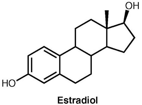 Side Effect Of Estradiol Patch : Free Programs, Utilities and Apps - feedbackbackup