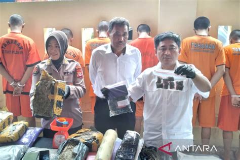 Polda Diy Bongkar Dua Jaringan Pengedar Ganja Yogyakarta Medan Antara