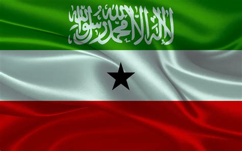 3d waving realistic silk national flag of Somaliland. Happy national ...