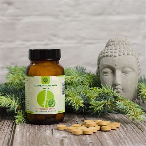 Официален Вносител на Боров Прашец за България - Health Garden. - Боров ...