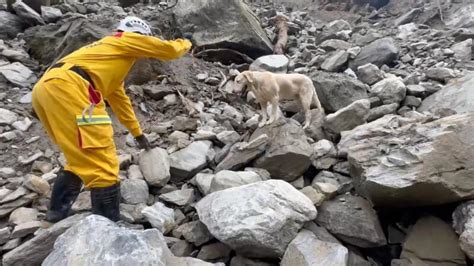 搜救犬roger砂卡礑步道尋獲罹難者 太活潑不適合緝毒轉職立功 影 生活 中央社 Cna