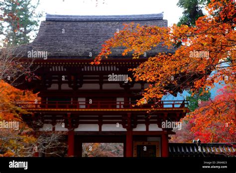 Niomon Gate And Autumn Leaves Stock Photo Alamy