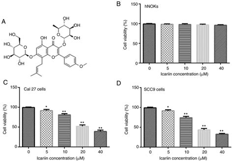 Icariin Inhibits Oral Squamous Cell Carcinoma Cell Proliferation And