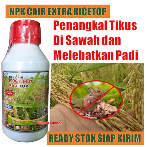 Jual Obat Tikus Rice Top Penangkal Tikus Di Sawah Insektisida