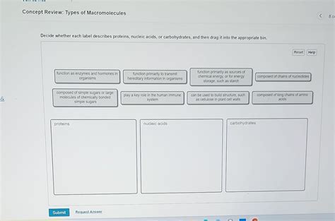 Solved Concept Review: Types of Macromolecules | Chegg.com