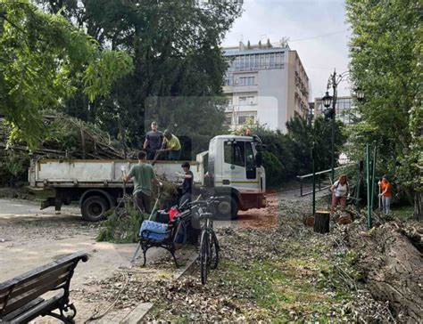 U Toku Su Zavr Ne Sanacije Posledica Nevremena U Parkovima U Novom Sadu