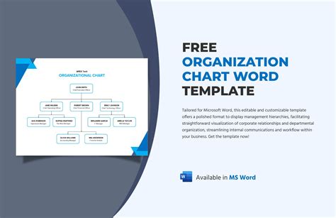 Organization Chart Word Template in Word - Download | Template.net