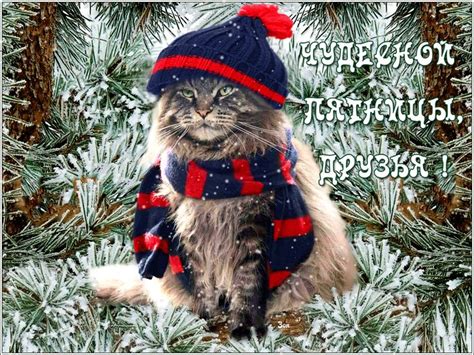 Открытки анимация Чудесной пятницы | Открытки анимация | Teddy bear ...