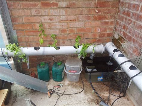 How to Setup and Run a Hydroponics System : 7 Steps (with Pictures) - Instructables