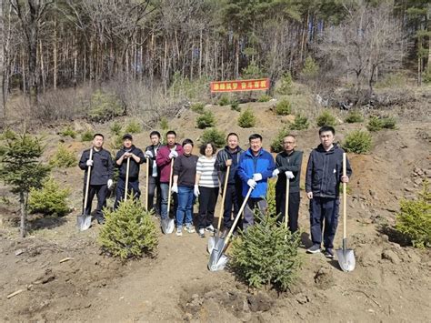 植树添新绿 不负好春光 ——南岔县人民法院开展义务植树主题党日活动澎湃号·政务澎湃新闻 The Paper