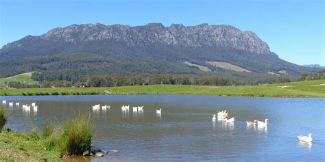 Sheffield Australia 2023 Best Places To Visit Tripadvisor