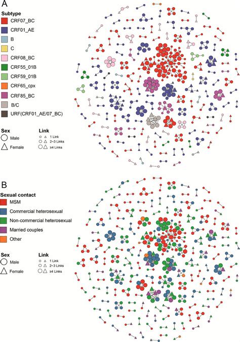 Molecular Transmission Network Analysis Of Patients Infected With