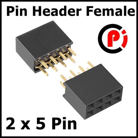 Jual Pin Header Female P X Pin Pitch Mm Double Row Straight