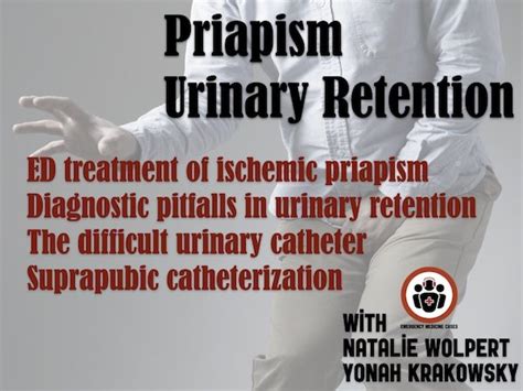 Emdocs Net Emergency Medicine Educationem Cases Priapism And Urinary