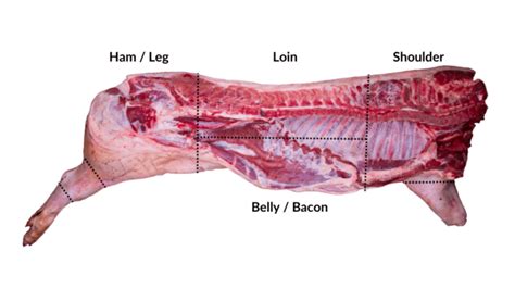 Diagram Pork Loin Vs Tenderloin