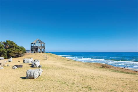 サーファーも、親子も、愛犬家も。誰もが海の時間を楽しめる「鹿島灘海浜公園」の未来