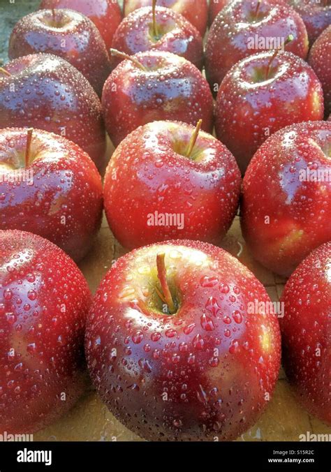 Pomme Rouge Pomme Banque De Photographies Et Dimages Haute