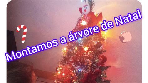 Montagem da árvore de Natal Mostrei meu studio Organização da cozinha