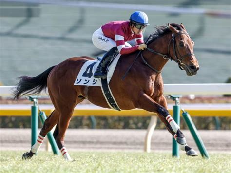 【ファルコンs出走馬・騎手確定】ソンシand川田将雅騎手、ロジリオンand三浦皇成騎手など17頭 競馬ニュース Netkeiba