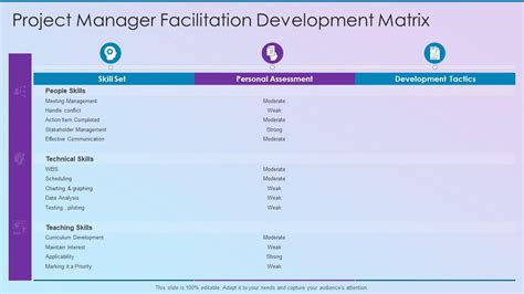 Project Manager Facilitation Development Matrix Process Improvement Planning Presentation