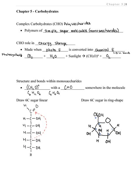 Chapter 5 Notes Chapter 5 Carbohydrates Complex Carbohydrates Cho