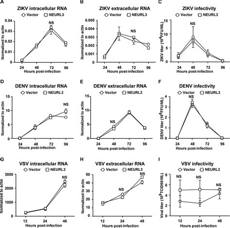 Neurl3 Has No Antiviral Effect Against Zikv Denv And Vsv Huh7 Vector