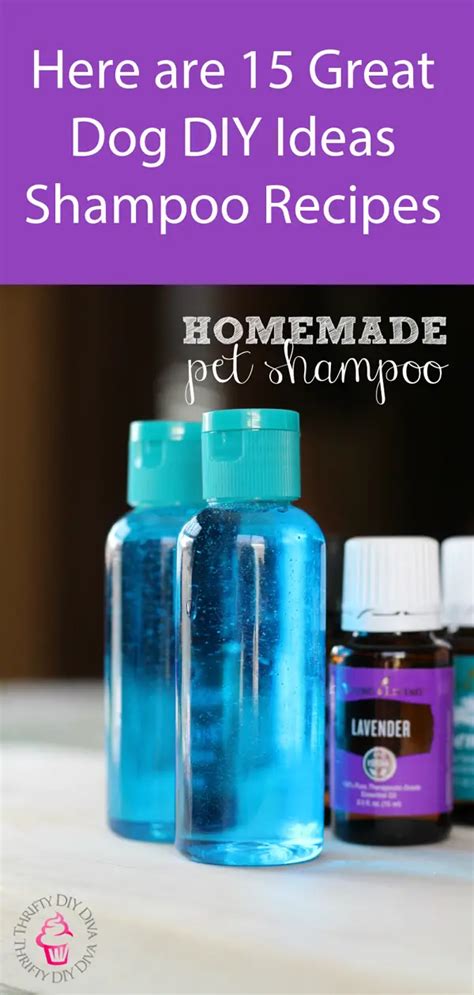 15 Homemade Dog Shampoo Recipes