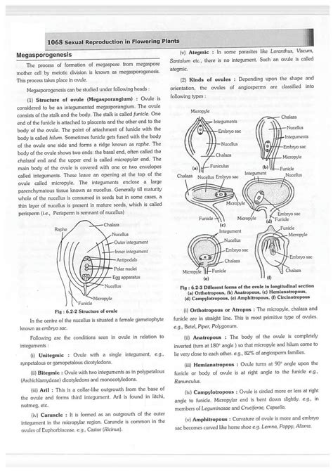 Solution Sexual Reproduction In Flowering Plants Theory With Worksheet