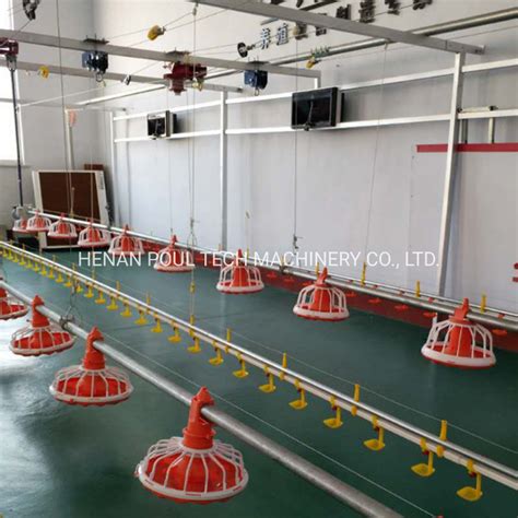 Broiler Farm Automatic Chicken Feeding And Drinking System China