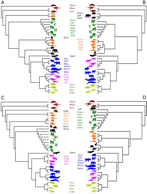 Comparison Of Phylogenetic Tree Topologies The Same Mitogenomes Of 34