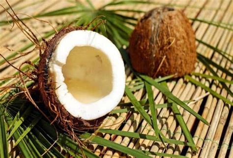 Coconut Benefits नारियल है सेहत के लिए वरदान कई बीमारियों की हो जाएगी