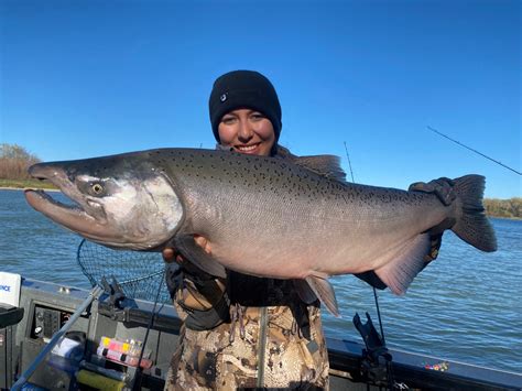 Sacramento River Fish Report Sacramento River Sacramento River King