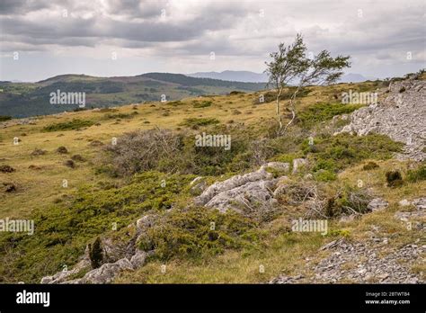 Whitbarrow Scar Hi Res Stock Photography And Images Alamy