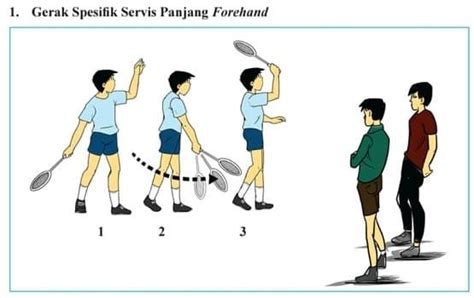 Top 10 Jelaskan Langkah Langkah Dalam Gerakan Servis Forehand Tenis Meja 2022