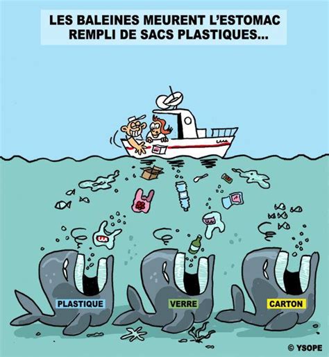 Baleines Et Pollution Sacs Plastiques Suite Ysope Dessin De