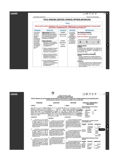 PDF EJEMPLOS MATRIZ DE TICS Docx DOKUMEN TIPS