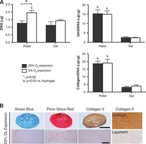 A Comparison Of The Chondrogenic Potential Of Fpscs Maintained In