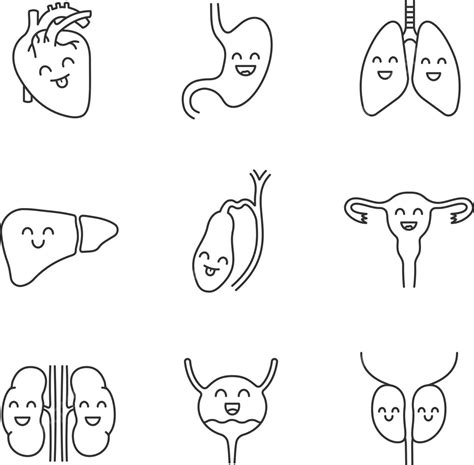 Smiling Human Internal Organs Linear Icons Set Smile Medicine