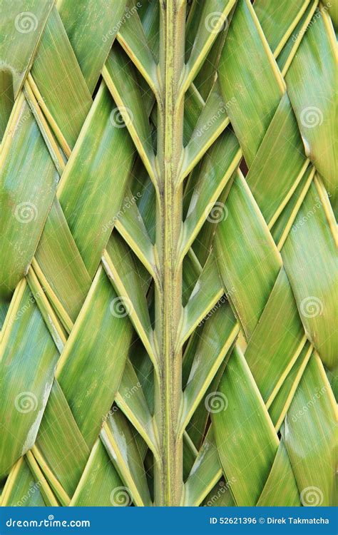 Pattern Weaving of Coconut Leaves Stock Photo - Image of background ...